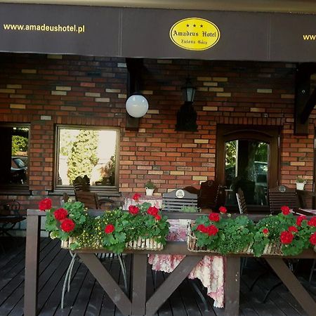 Amadeus Hotel Zielona Gora Ngoại thất bức ảnh